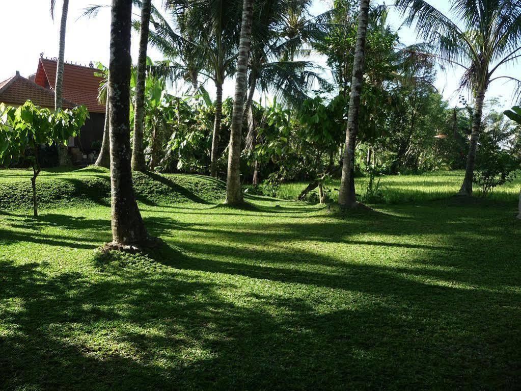 Villa Umajati Retreat Ubud Exterior foto